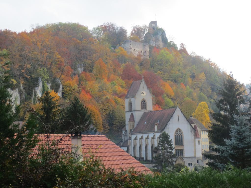 La Maison Des Fontaines D'Alsace Ferrette Номер фото
