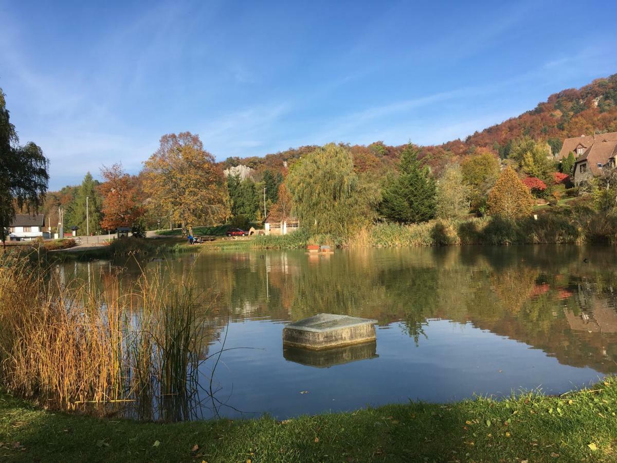 La Maison Des Fontaines D'Alsace Ferrette Екстер'єр фото