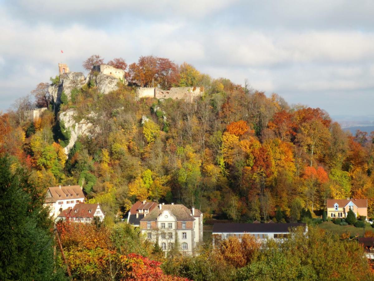 La Maison Des Fontaines D'Alsace Ferrette Екстер'єр фото